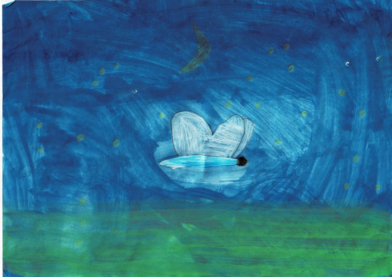 Hanna, Fahrenkr&ouml;n2d