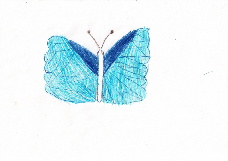 Mara, Fahrenkr&ouml;n2d