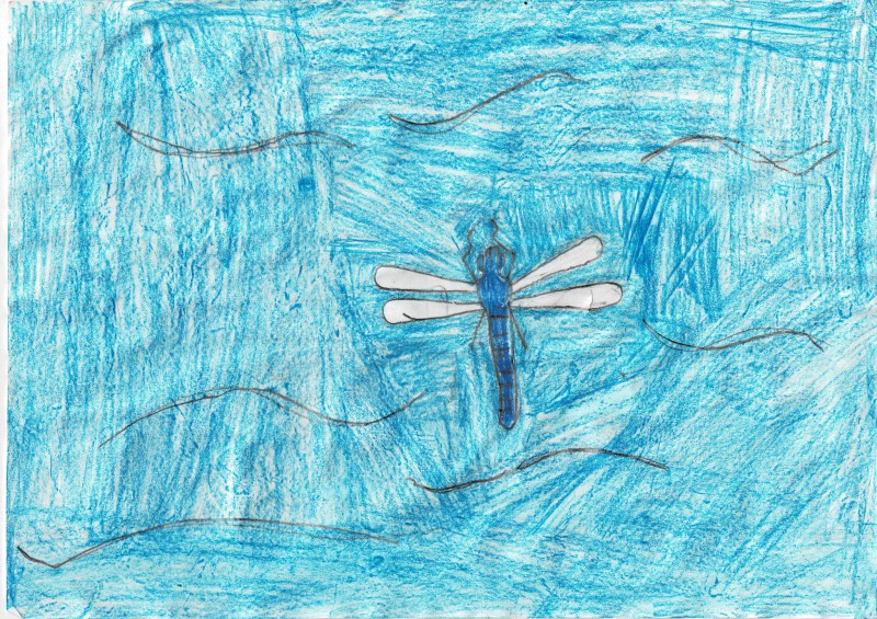 Odin, Fahrenkr&ouml;n2d