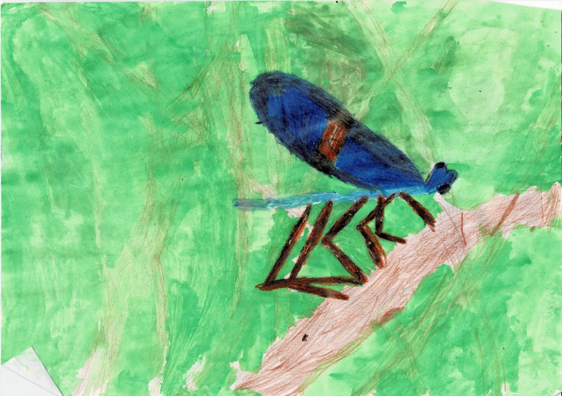 Oskar, Fahrenkr&ouml;n2d